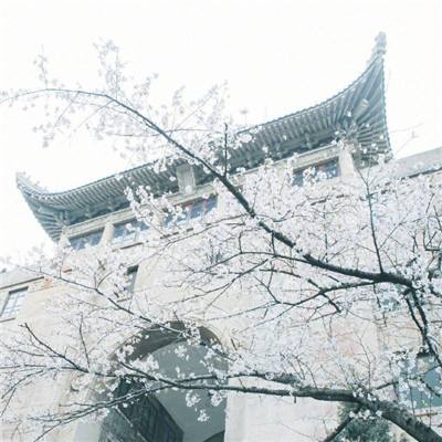 北京初雪！你愿与谁共赏？雪中故宫浪漫的莹白